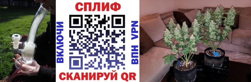 Названия наркотиков Губаха ГАШИШ  Кокаин  АМФЕТАМИН  МЕФ 