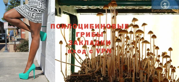 спайс Баксан