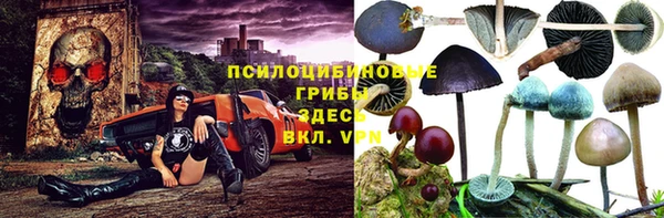 спайс Баксан