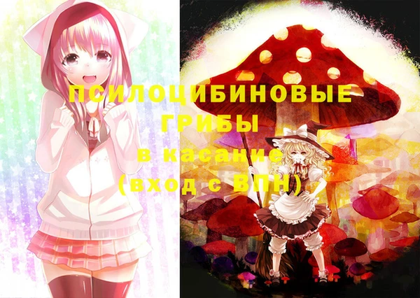 ПСИЛОЦИБИНОВЫЕ ГРИБЫ Балахна