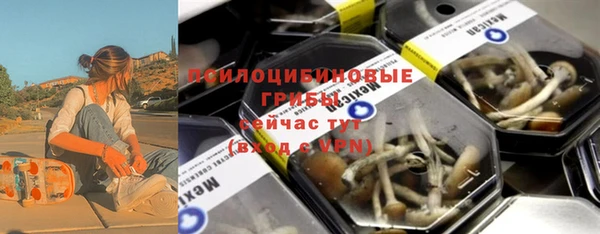 ПСИЛОЦИБИНОВЫЕ ГРИБЫ Балахна